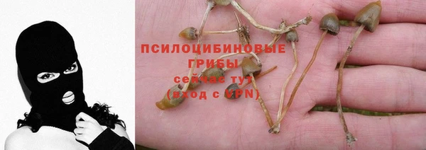 мет Абинск