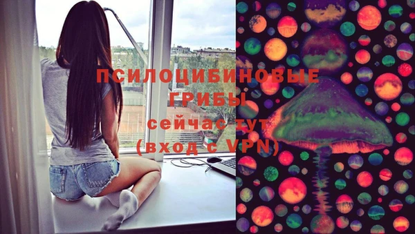 прущие грибы Абдулино