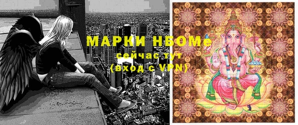 прущие грибы Абдулино