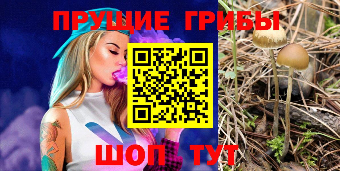 Псилоцибиновые грибы прущие грибы Рассказово