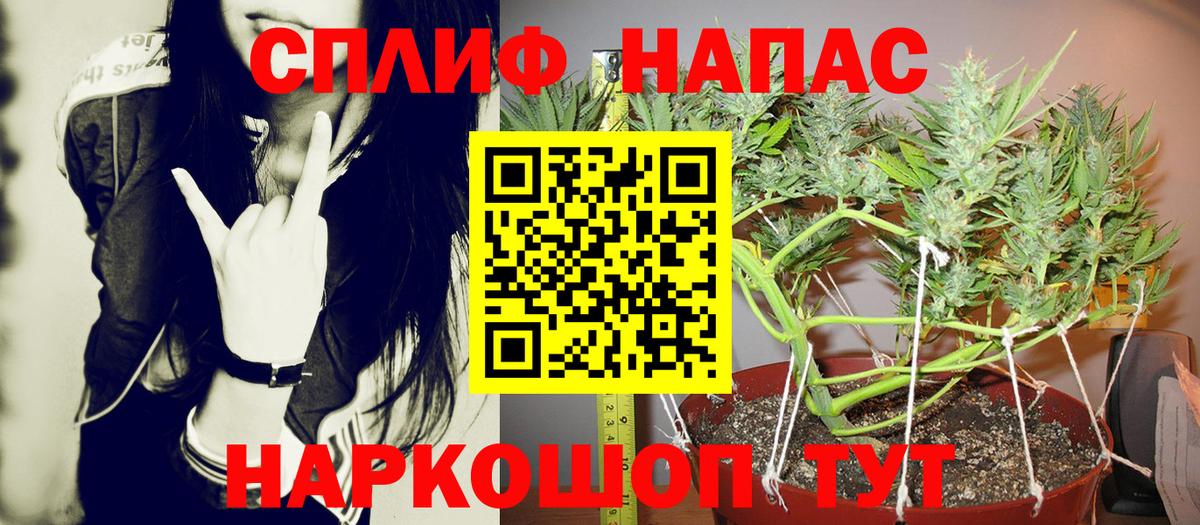 Конопля конопля  Марихуана сатива  Рассказово  Вход с VPN  МАРИХУАНА THC 21% 